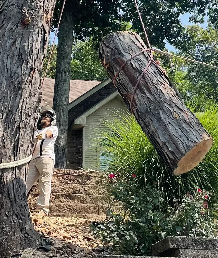 Man in work clothes and hard hat, directing a large log suspended by ropes near a house.
