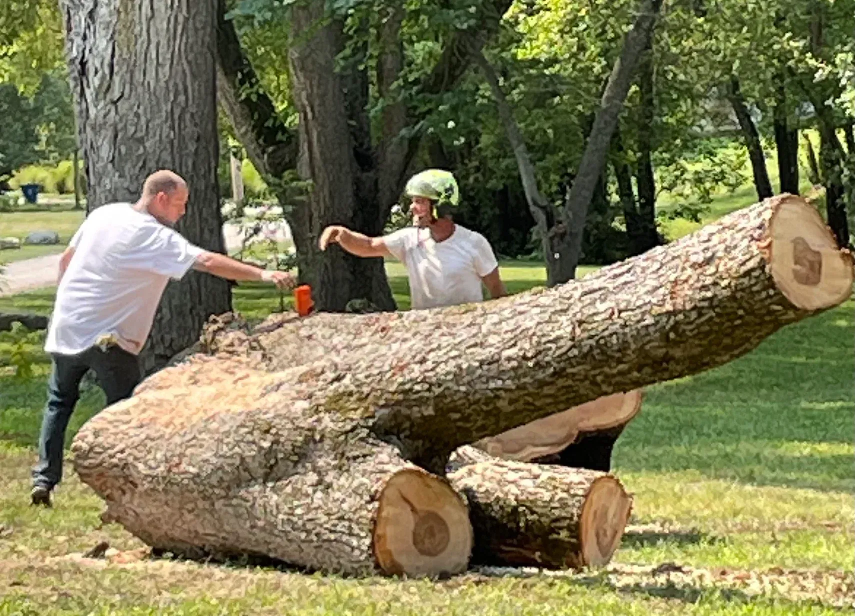 Two people building a wooden cannon in a grassy park. One person points, the other works.