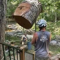 A man wearing a helmet helps lower a large tree trunk outdoors.