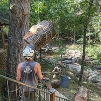 Person lifting a large log, possibly for construction, outdoors near a tree and steps.