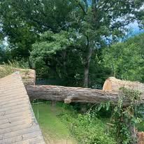 Large tree trunk resting on a roof, surrounded by green vegetation.