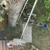 Top-down view of a tree with ropes, logs, a small board, and a bucket, likely for construction or work.