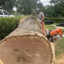 Man using chainsaw on a large log; outdoors.