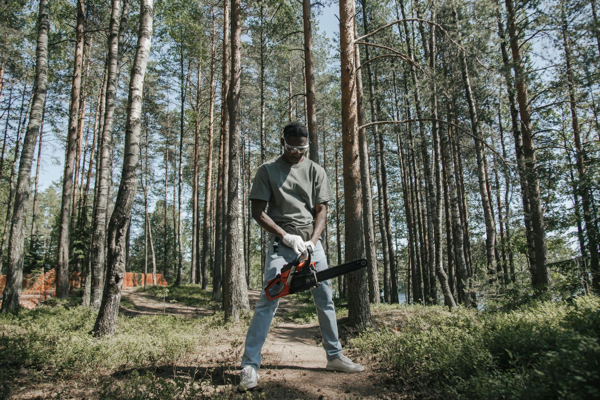 Man in forest holding chainsaw, preparing to cut a tree.