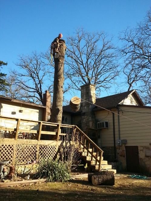 Tree removal worker atop a tall tree stump next to a house with a deck. Blue sky.