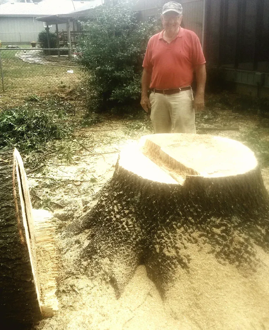Man stands next to a large tree stump. Sawdust surrounds the stump, a chainsaw nearby.