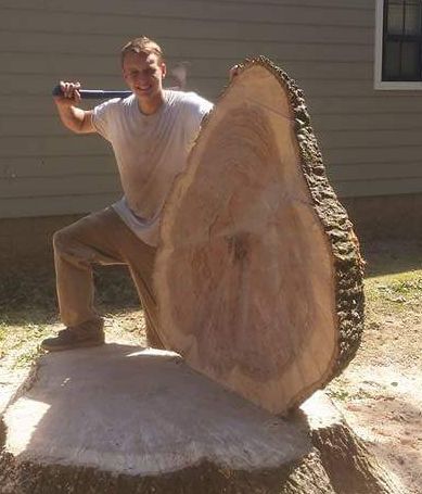 Man holding a large wooden slab, standing on a tree stump, with an axe raised.