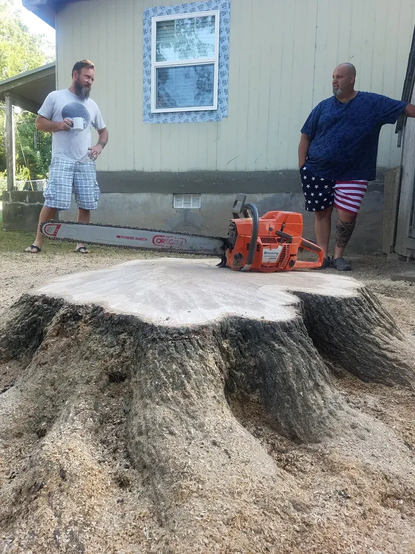 Two men near a large tree stump and chainsaw; one man holds a mug, the other leans.