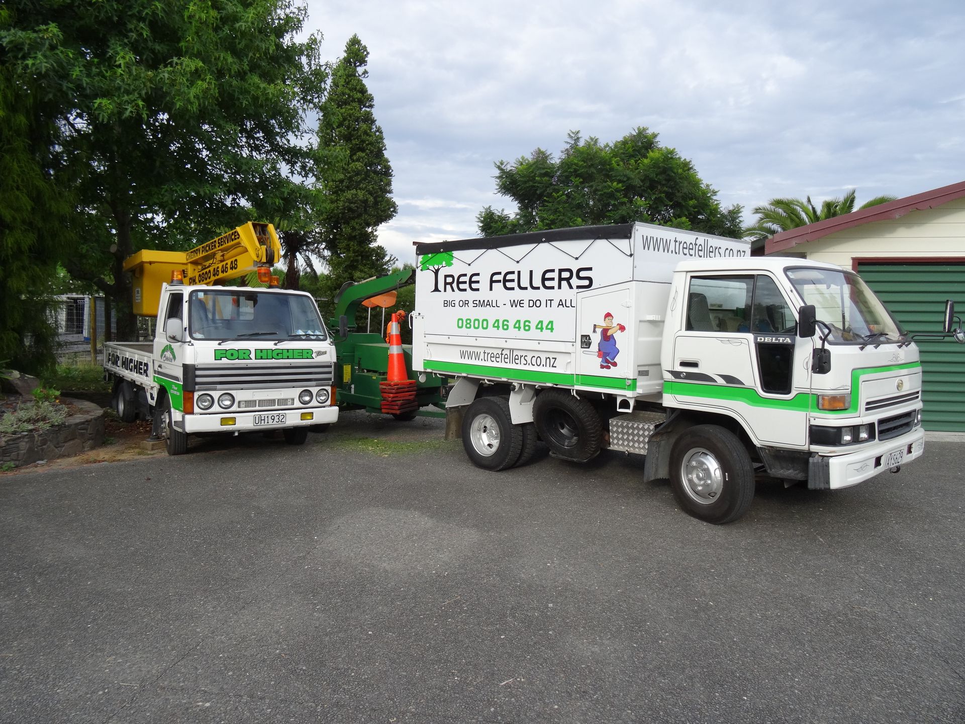 Gallery Tree Fellers