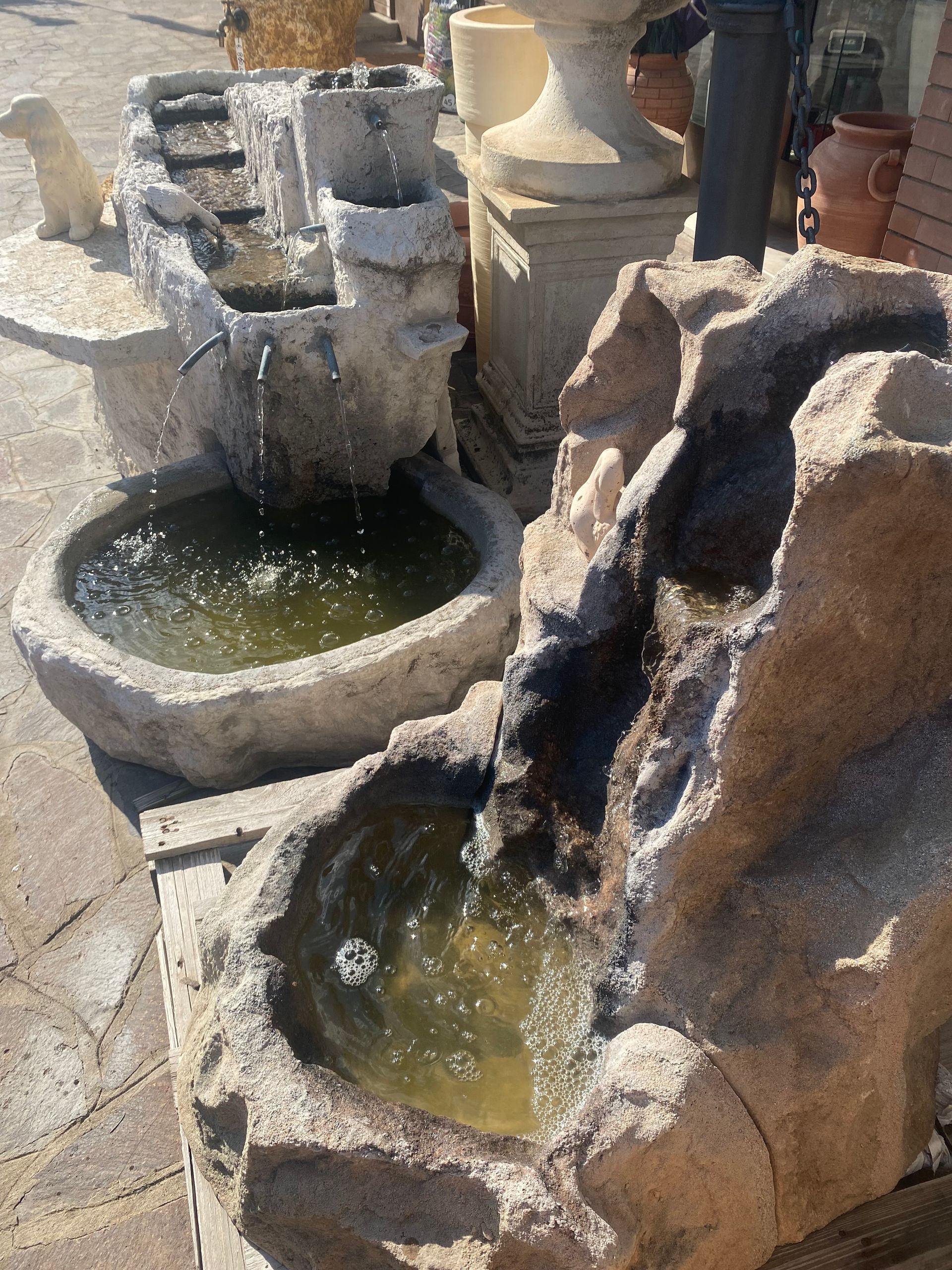 composizione di sempreverdi per allestimenti per cerimonie