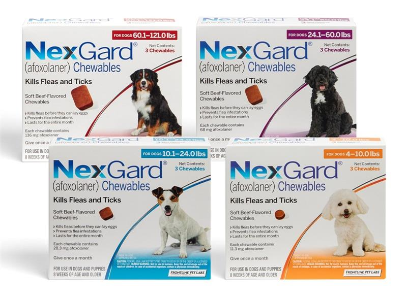 nexgard-for-canines