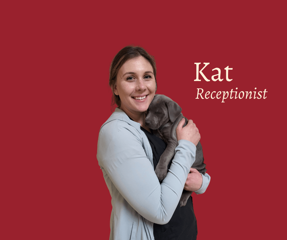 Meet Our Team Chipman Road Animal Clinic Lee's Summit, MO