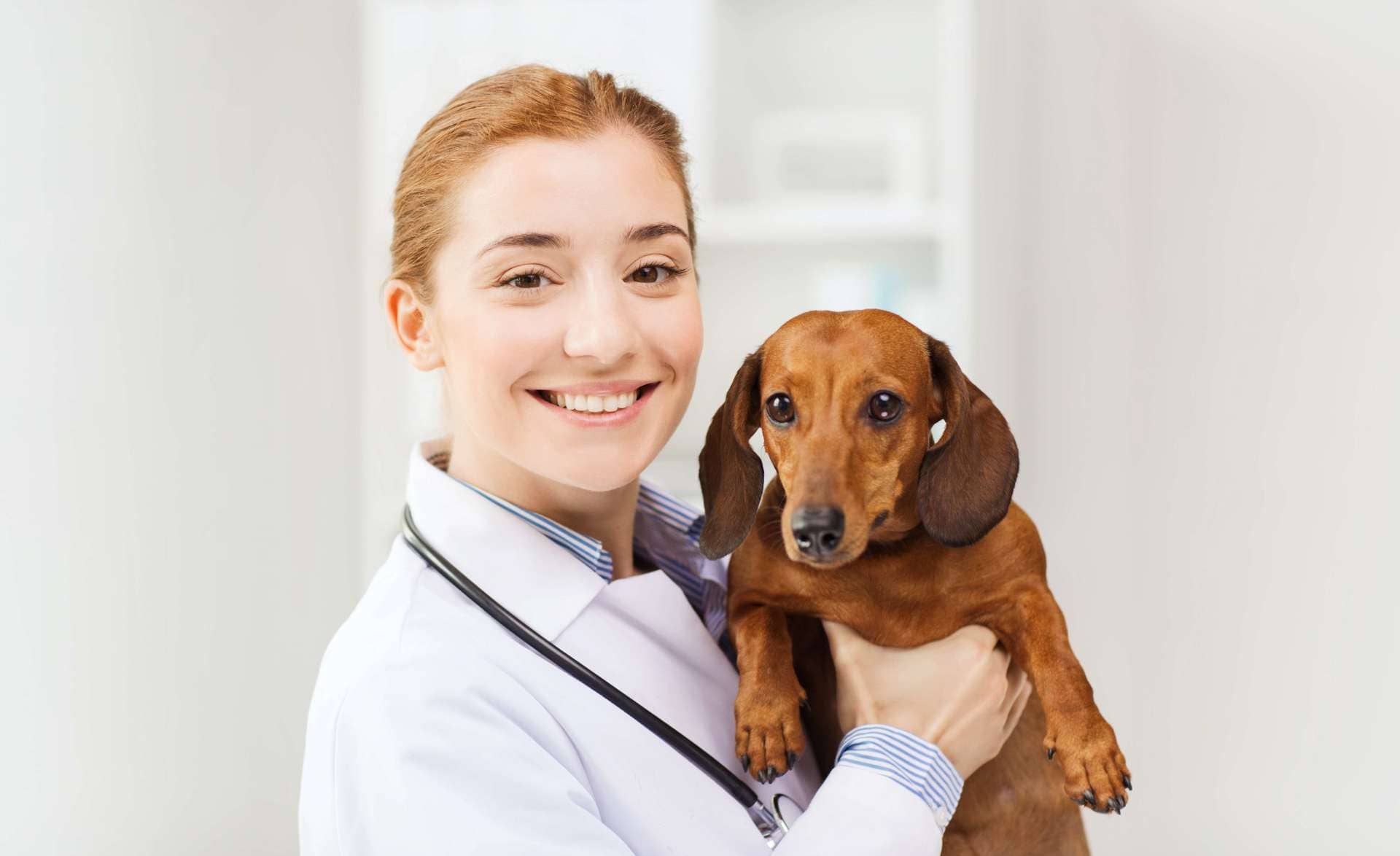 Vet lady holding puppy