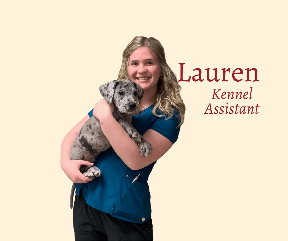 lauren-veterinary-assistant
