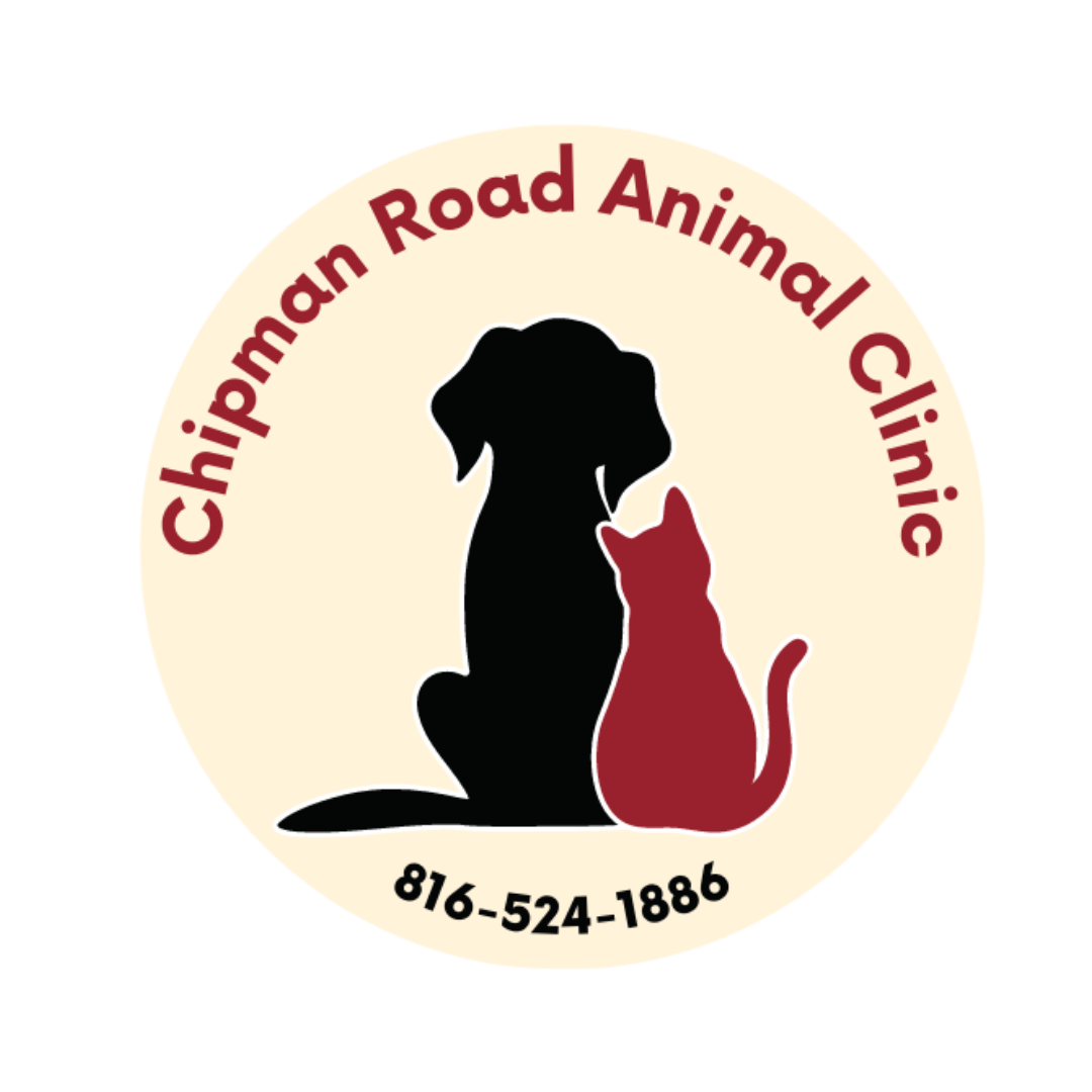 Chipman Road Animal Clinic | The Best Veterinarians in Lee's Summit