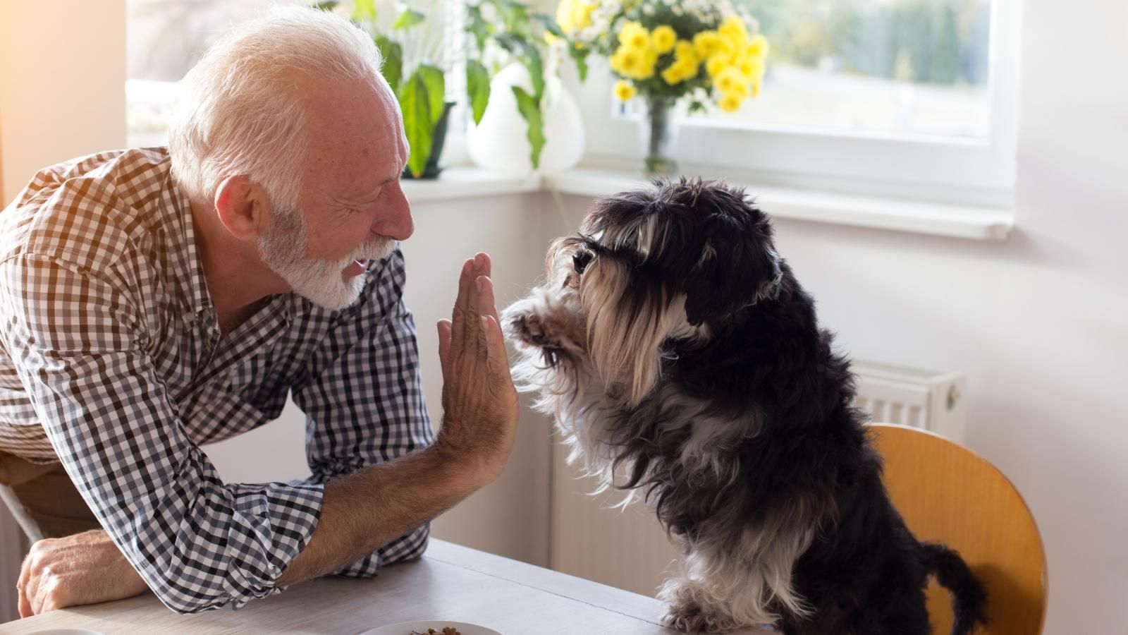 Man and dog high-fiving.