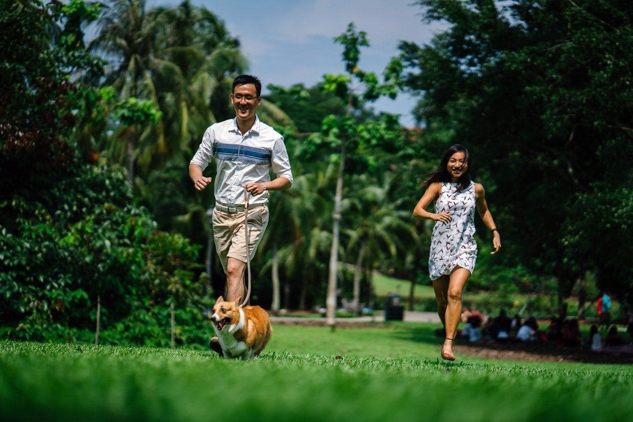 Happy people with their dog on a leash at the park