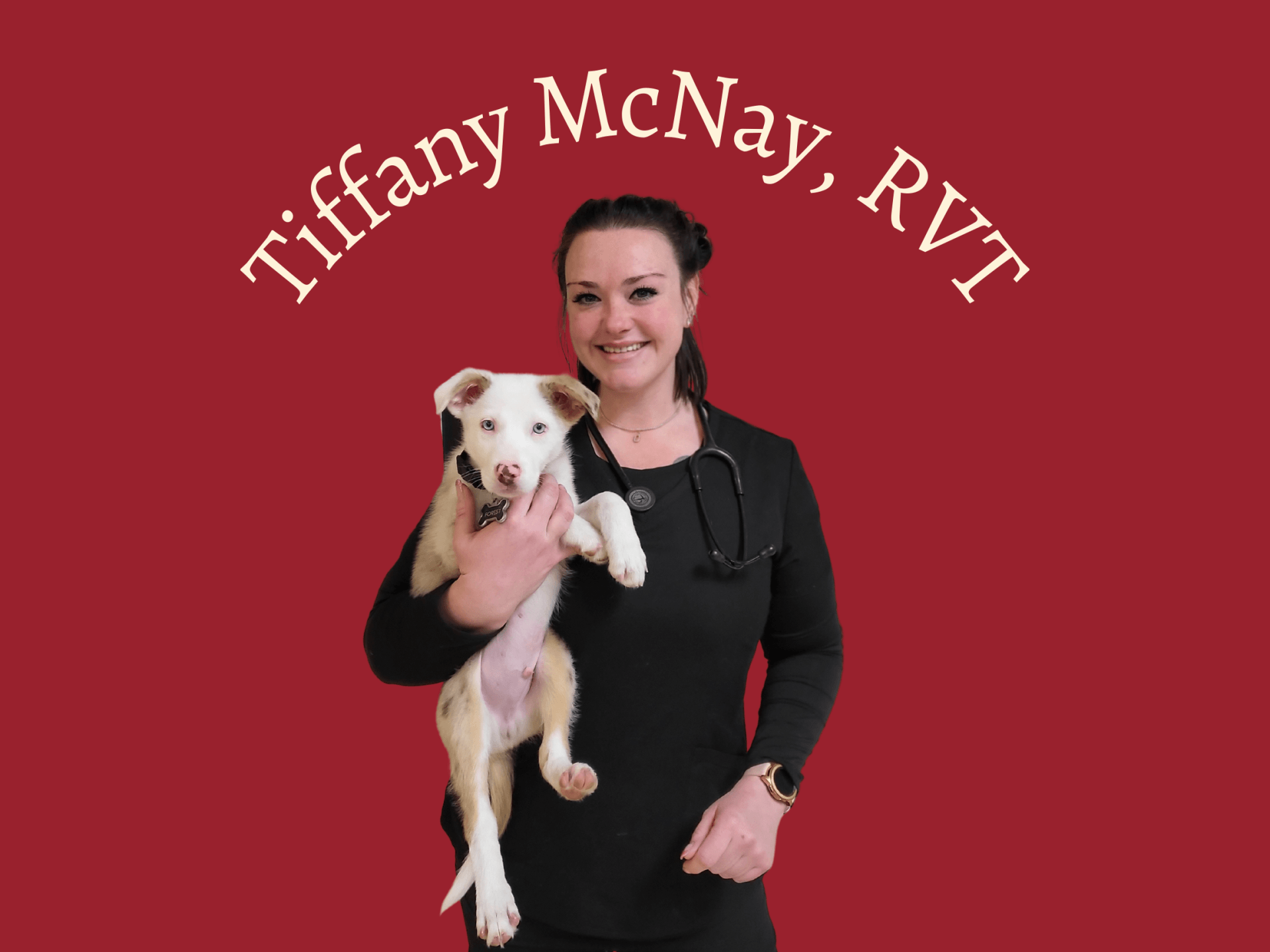 Tiffany-McNay-RVT