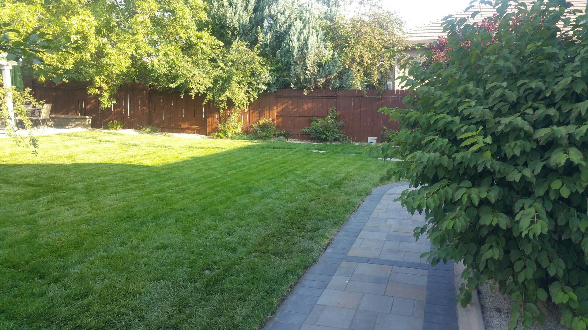 A backyard with a lush green lawn and a brick walkway leading to it.