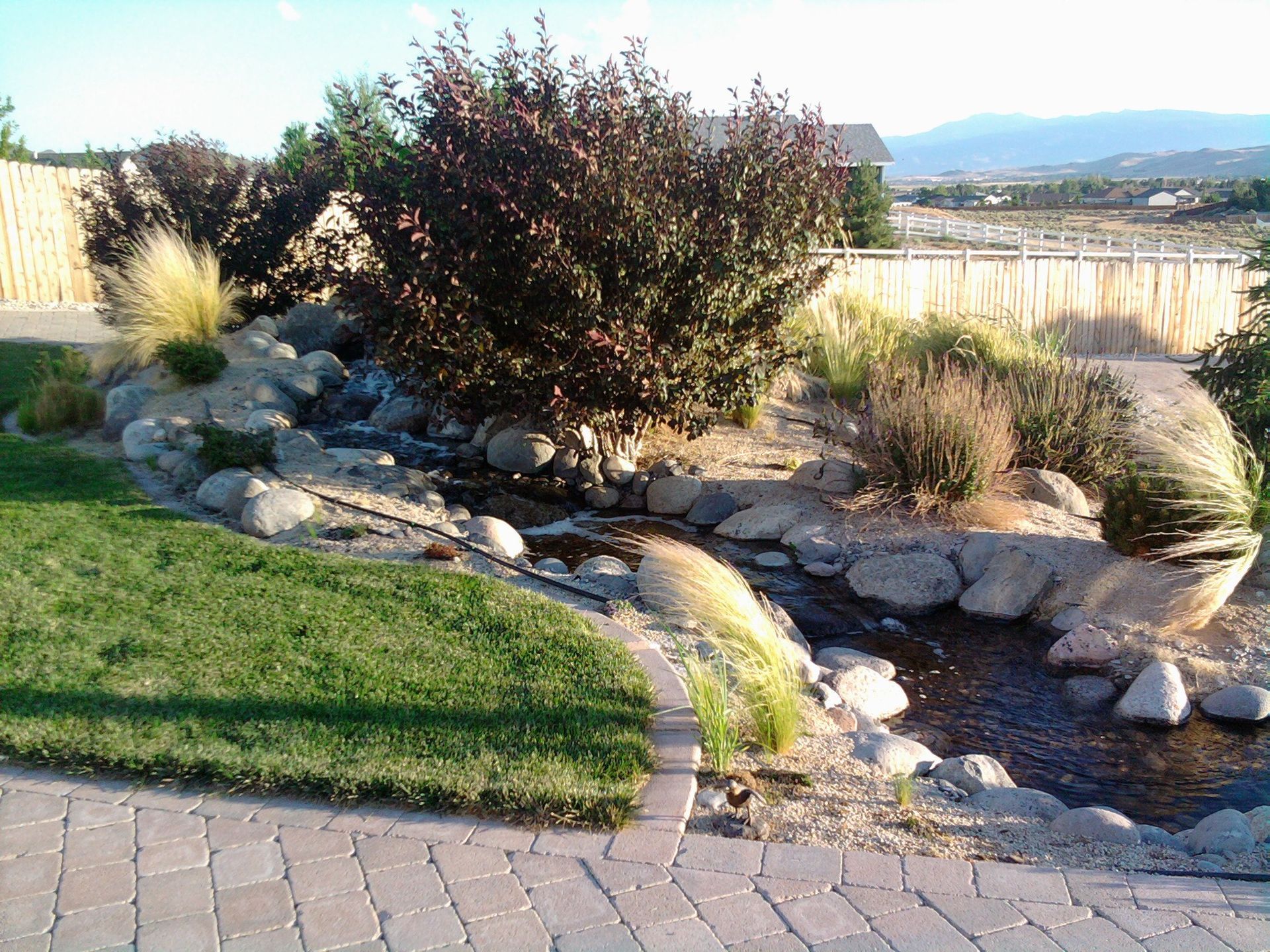 A lush green lawn with a stream running through it