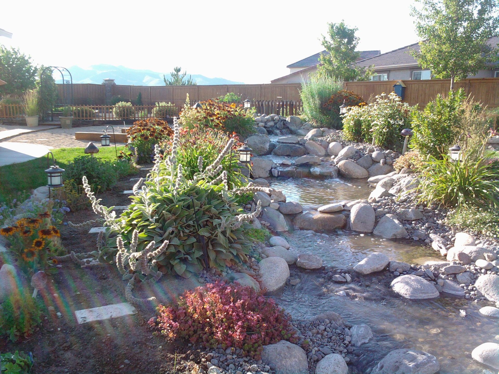 A lush green garden with a stream running through it