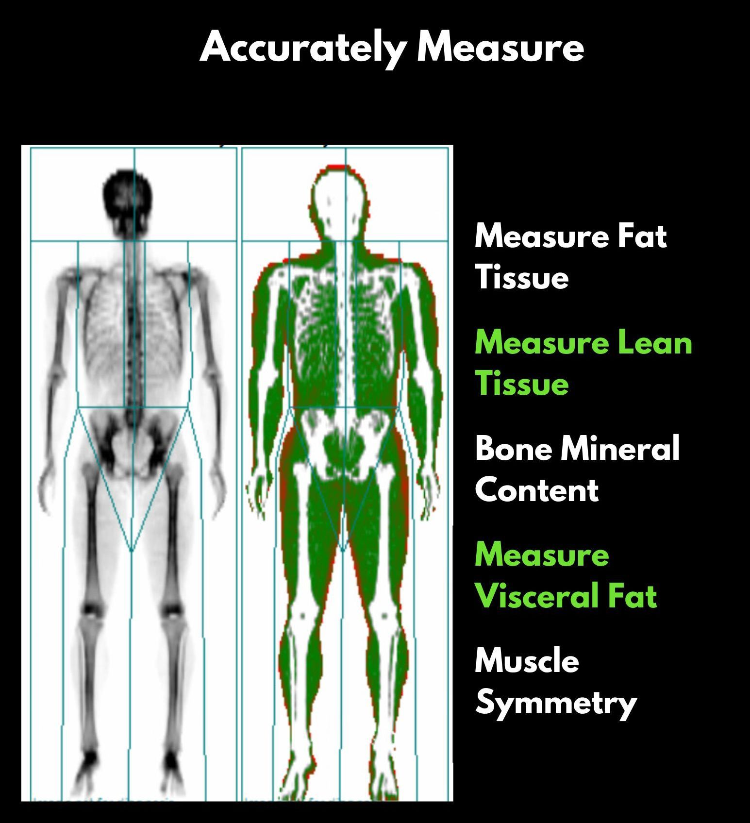Dexa Body Composition Testing