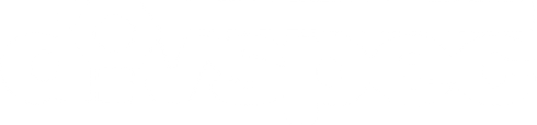 Divspec logo