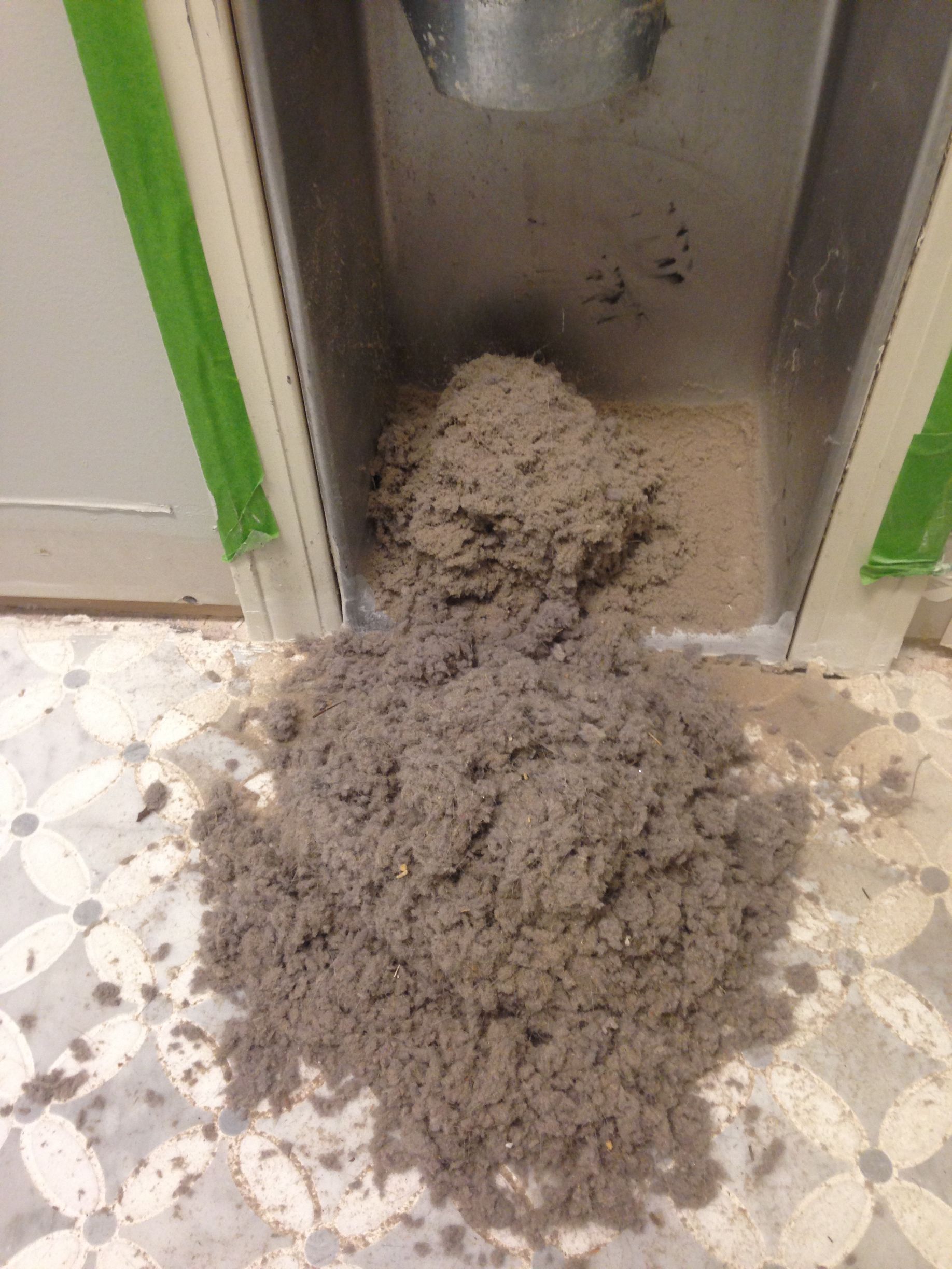 Man using hose to clean ceiling vent. He's standing on a ladder in a room with windows and curtains.