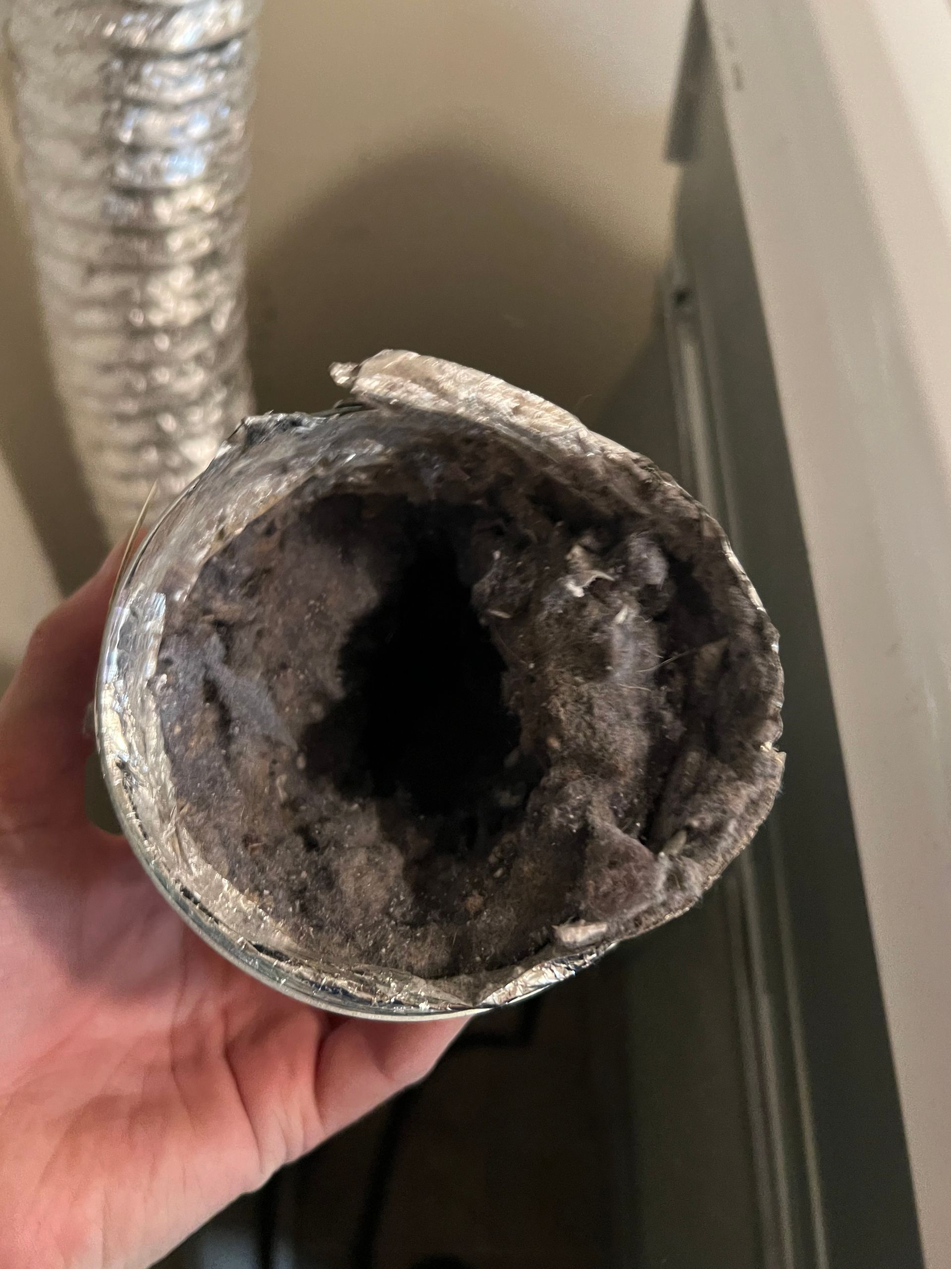 Dryer Vent structure with a network of transparent strands, leading to a bright, warm light.