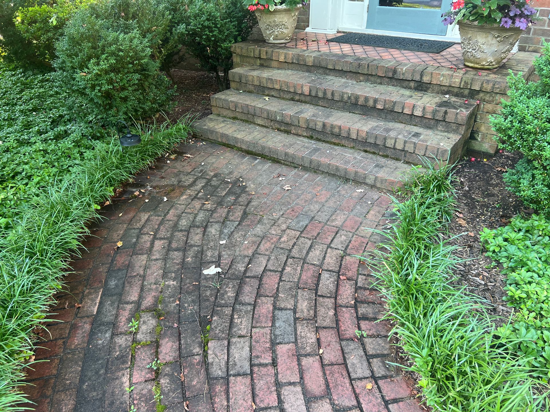 Person wearing blue gloves sprays and wipes a window with a yellow cloth; green foliage outside.