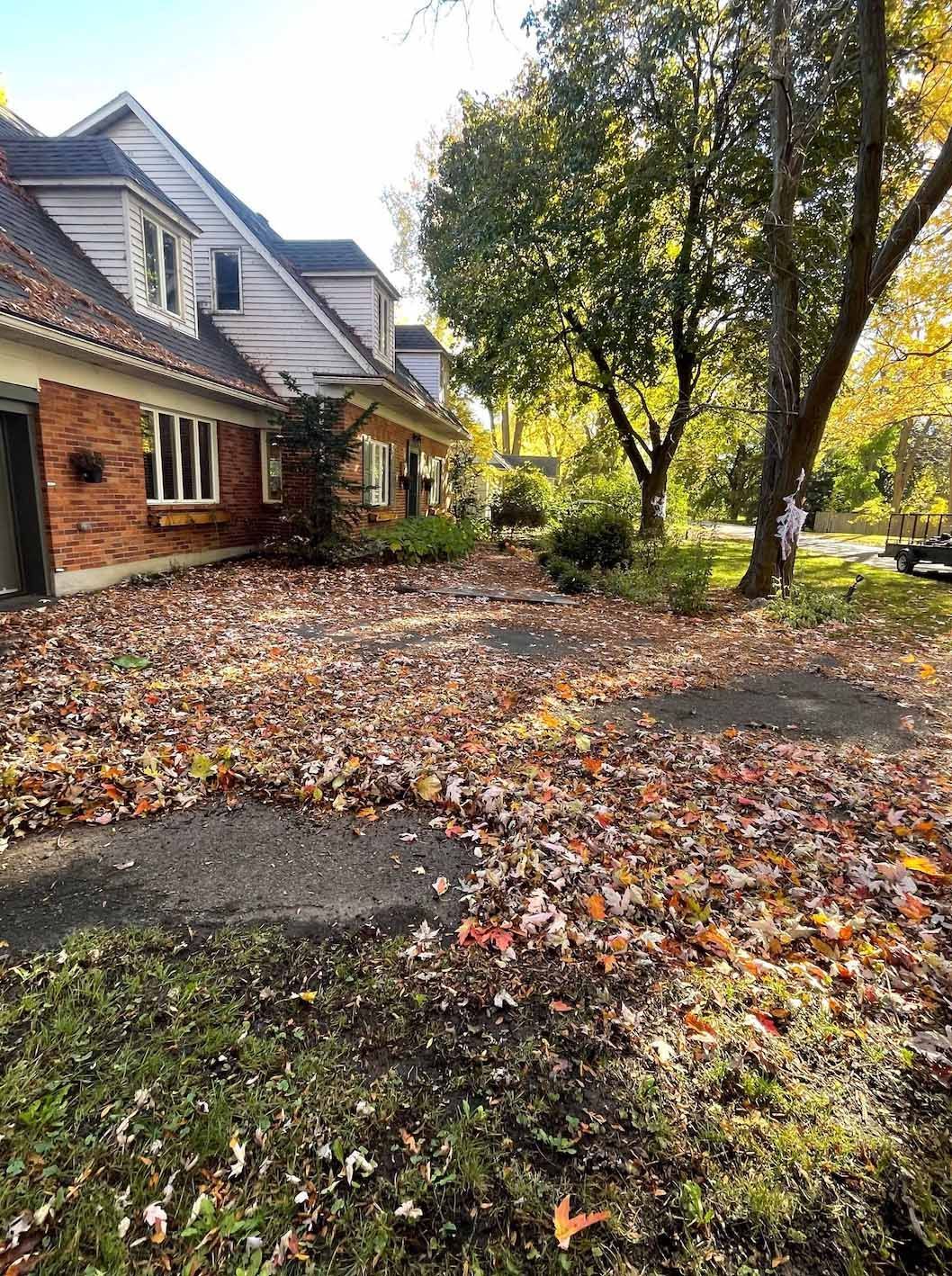 Une grande maison avec beaucoup de feuilles au sol devant.