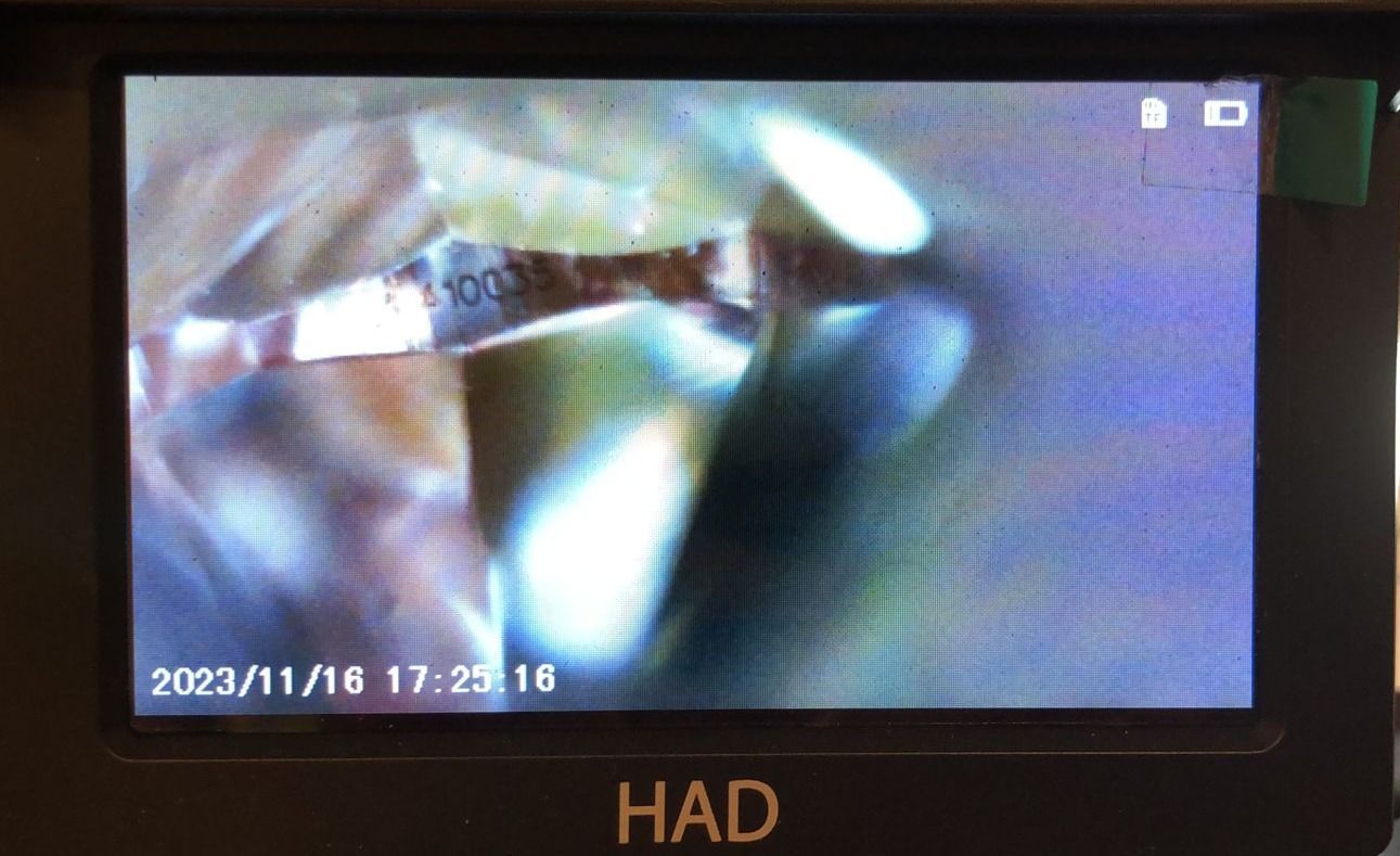 CERTIFIED ARGYLE Oval Diamond 0.10CT 3PR VS2