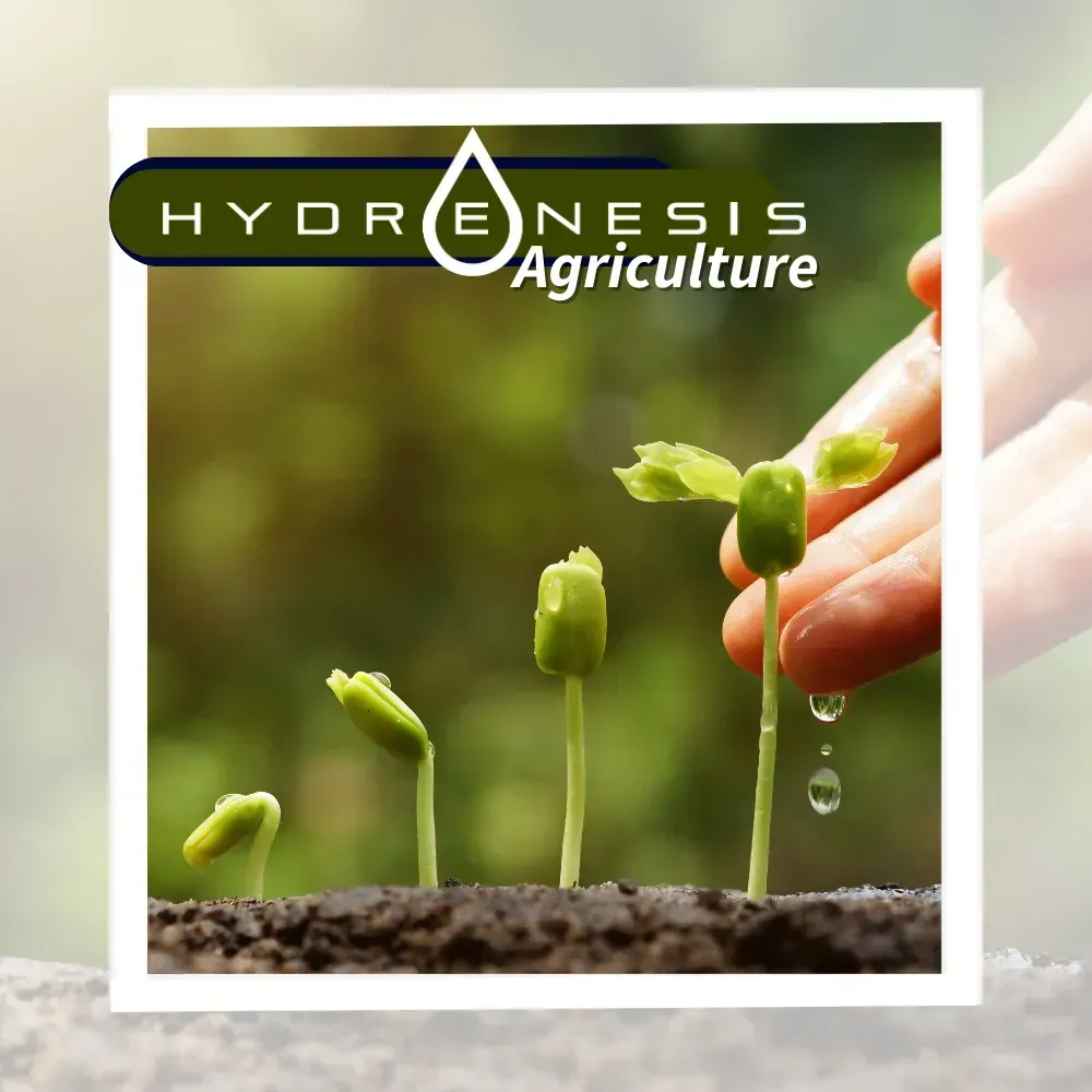 Hydrenesis  Agriculture Sustainable Solutions