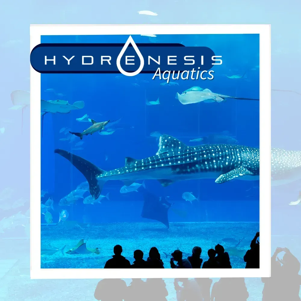 Hydrenesis Aquatics