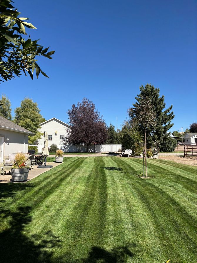 Well-striped green lawn with a house, trees, and a clear blue sky.