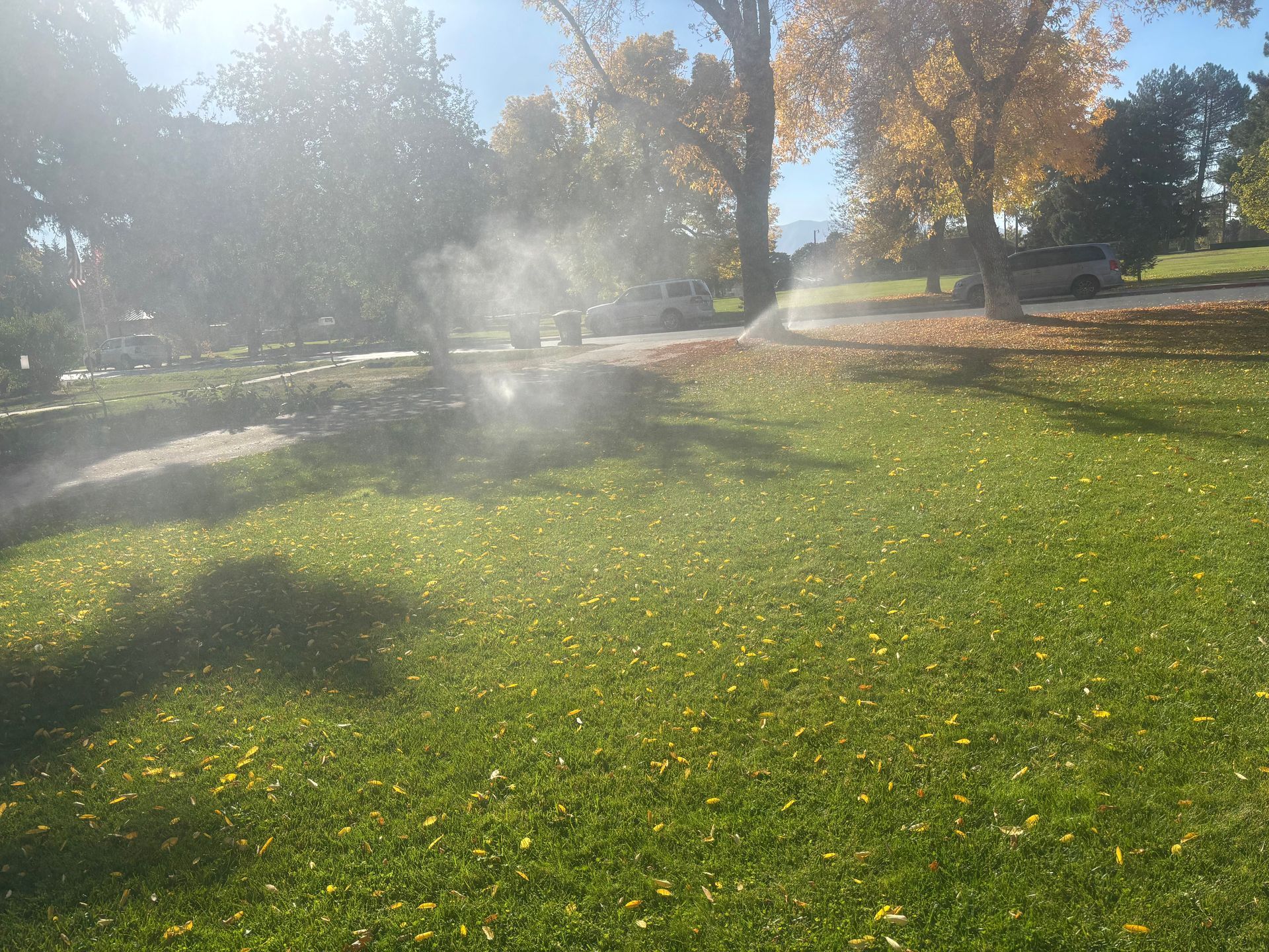 Sprinklers watering a green lawn with fallen yellow leaves, trees in the background under a sunny, blue sky.