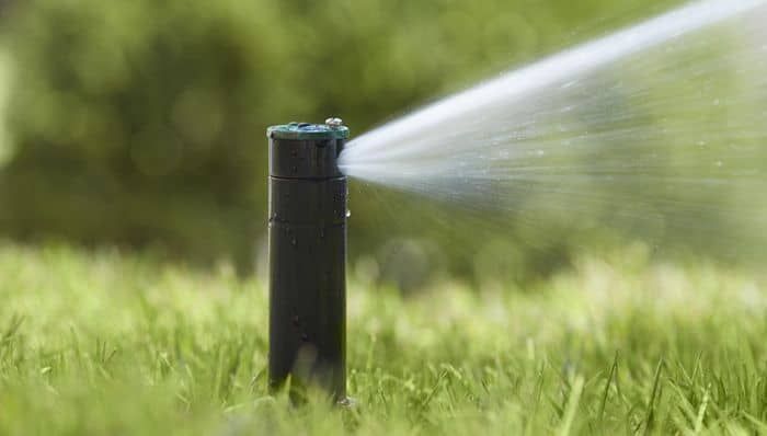 A sprinkler head spraying water onto green grass in a yard.