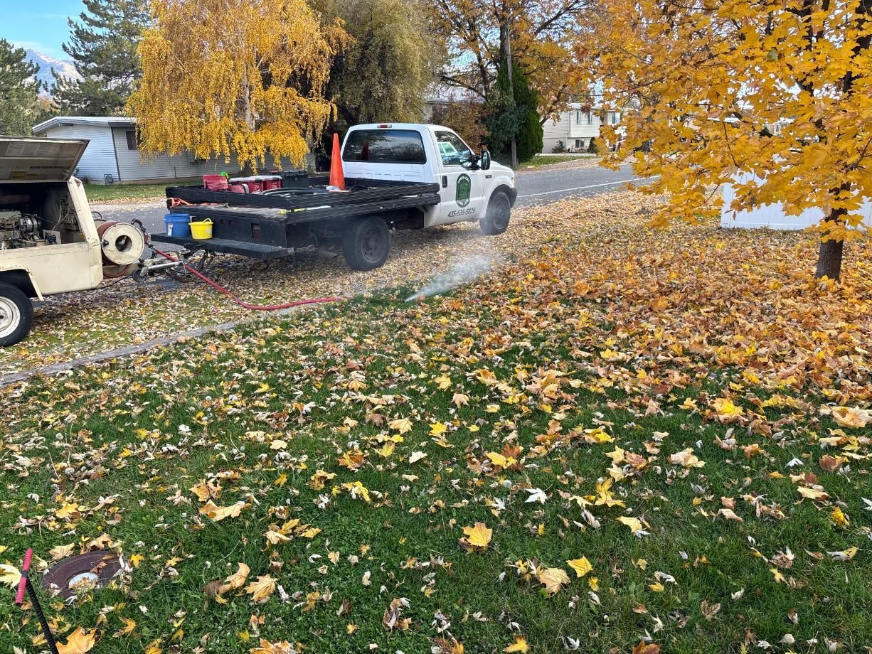 Truck blowing leaves in yard with fall foliage.