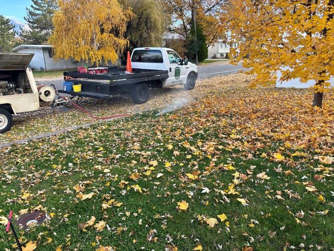 A white truck and trailer blowing leaves on a lawn in the fall. Yellow foliage covers the grass.