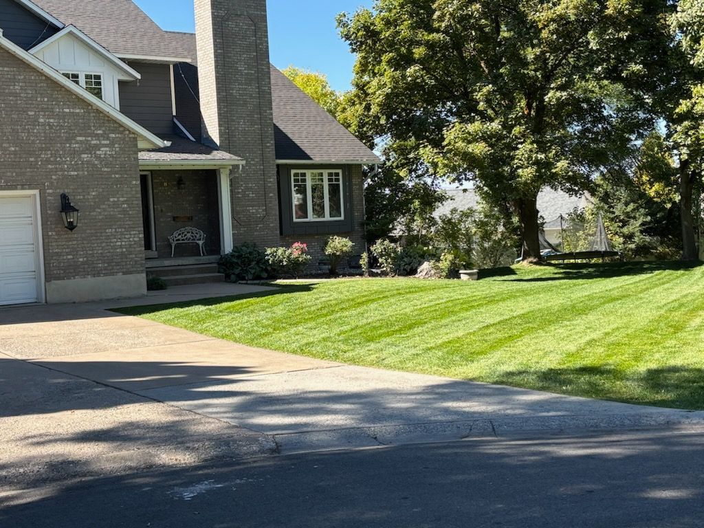 Well-striped green lawn with a house, trees, and a clear blue sky.
