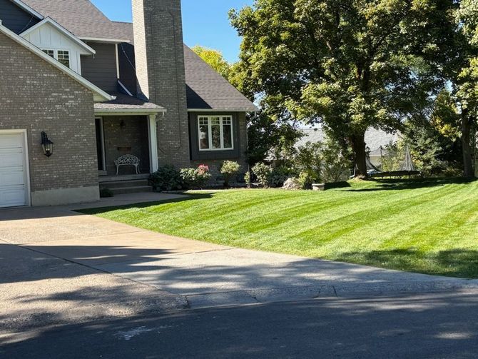 Well-striped green lawn with a house, trees, and a clear blue sky.