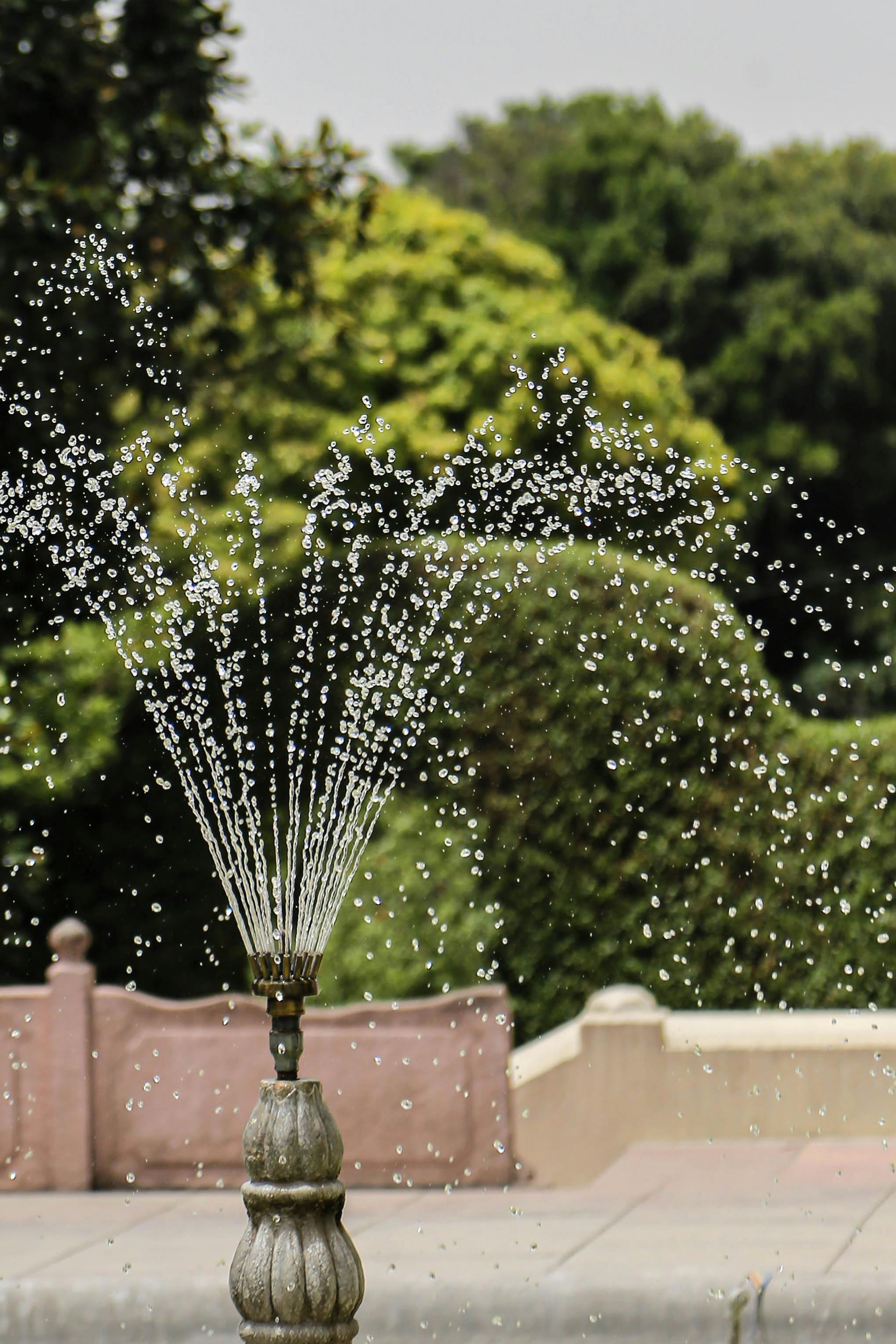 Fountain spraying water against a backdrop of green hedges and a pink railing.