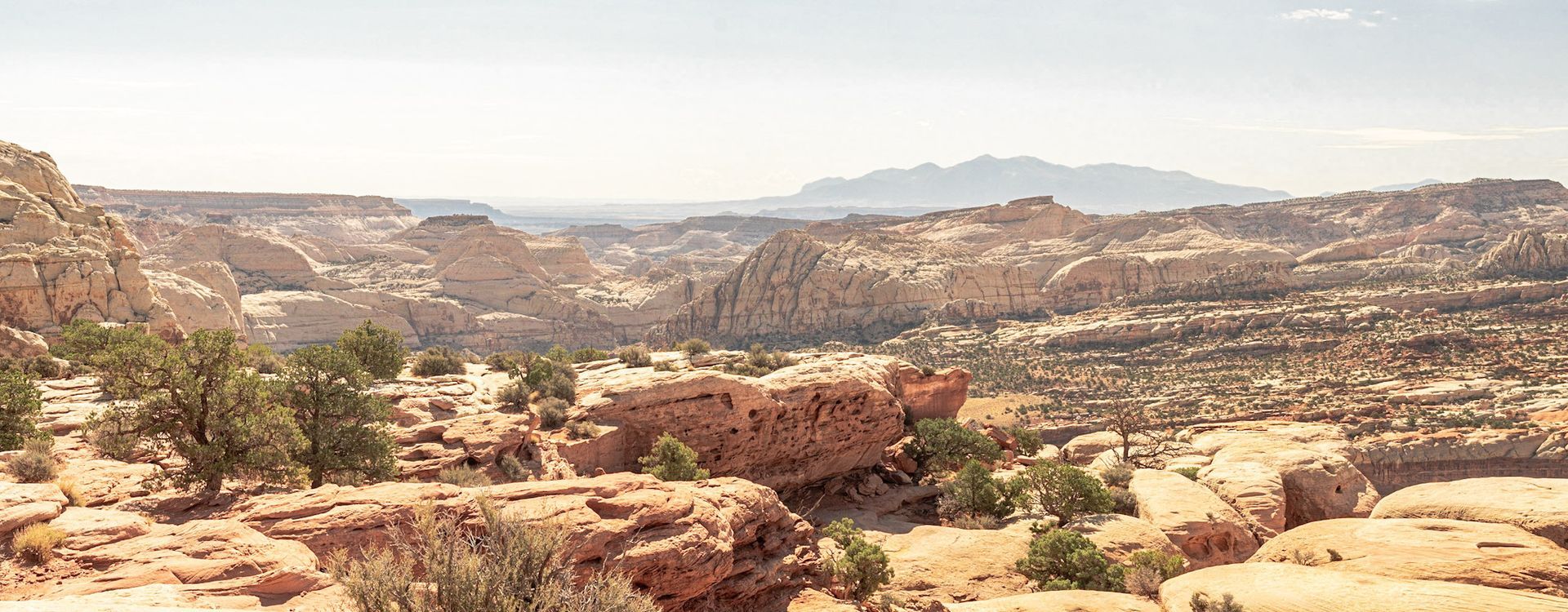 a panoramic view of a desert landscape with mountains in the background .