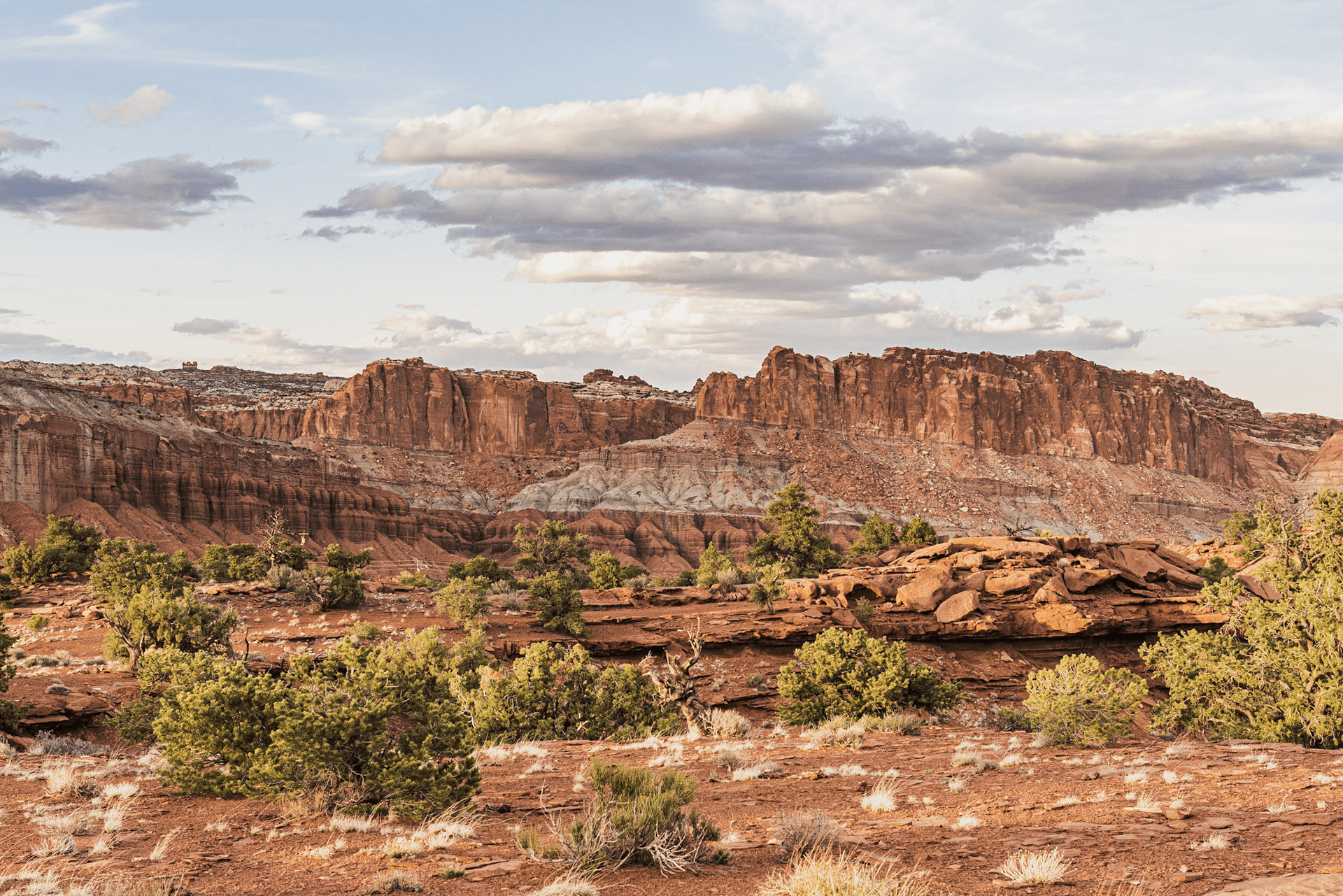 a desert landscape with mountains in the background and trees in the foreground .