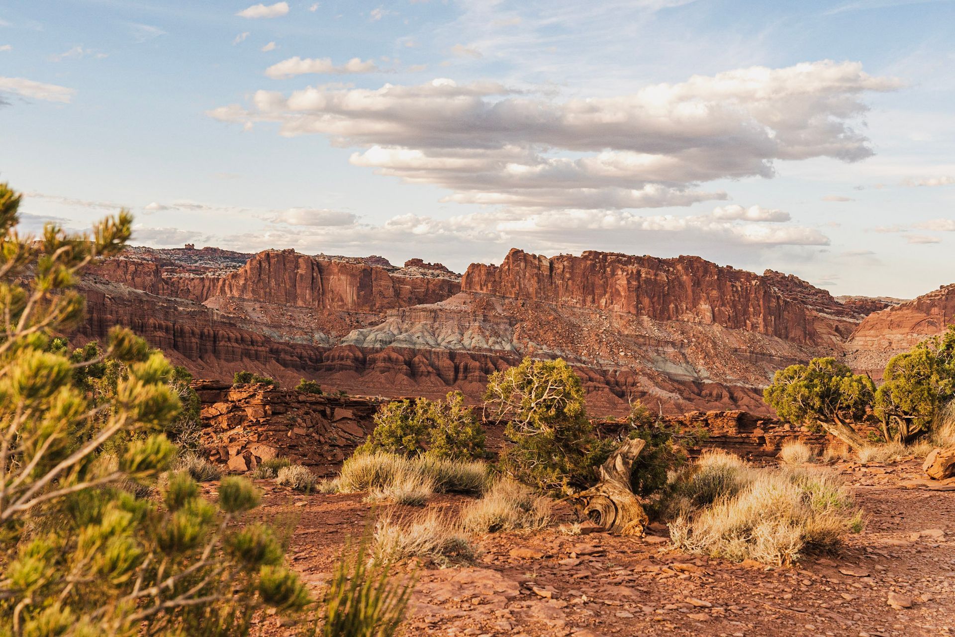 a desert landscape with a mountain in the background and trees in the foreground .