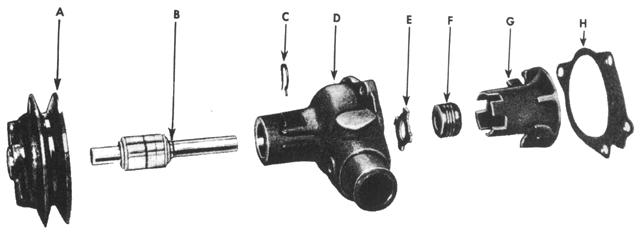 Cooling System - Water Pump Assembly