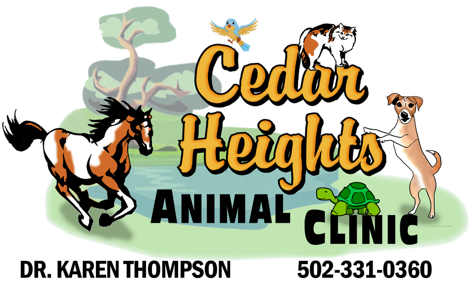 cedar heights animal clinic