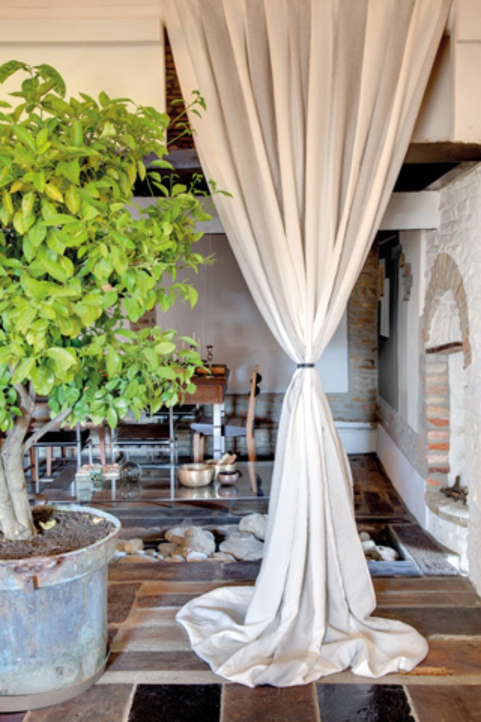 Spazio interno con una tenda bianca trasparente, un albero in vaso e la cucina visibile sullo sfondo.