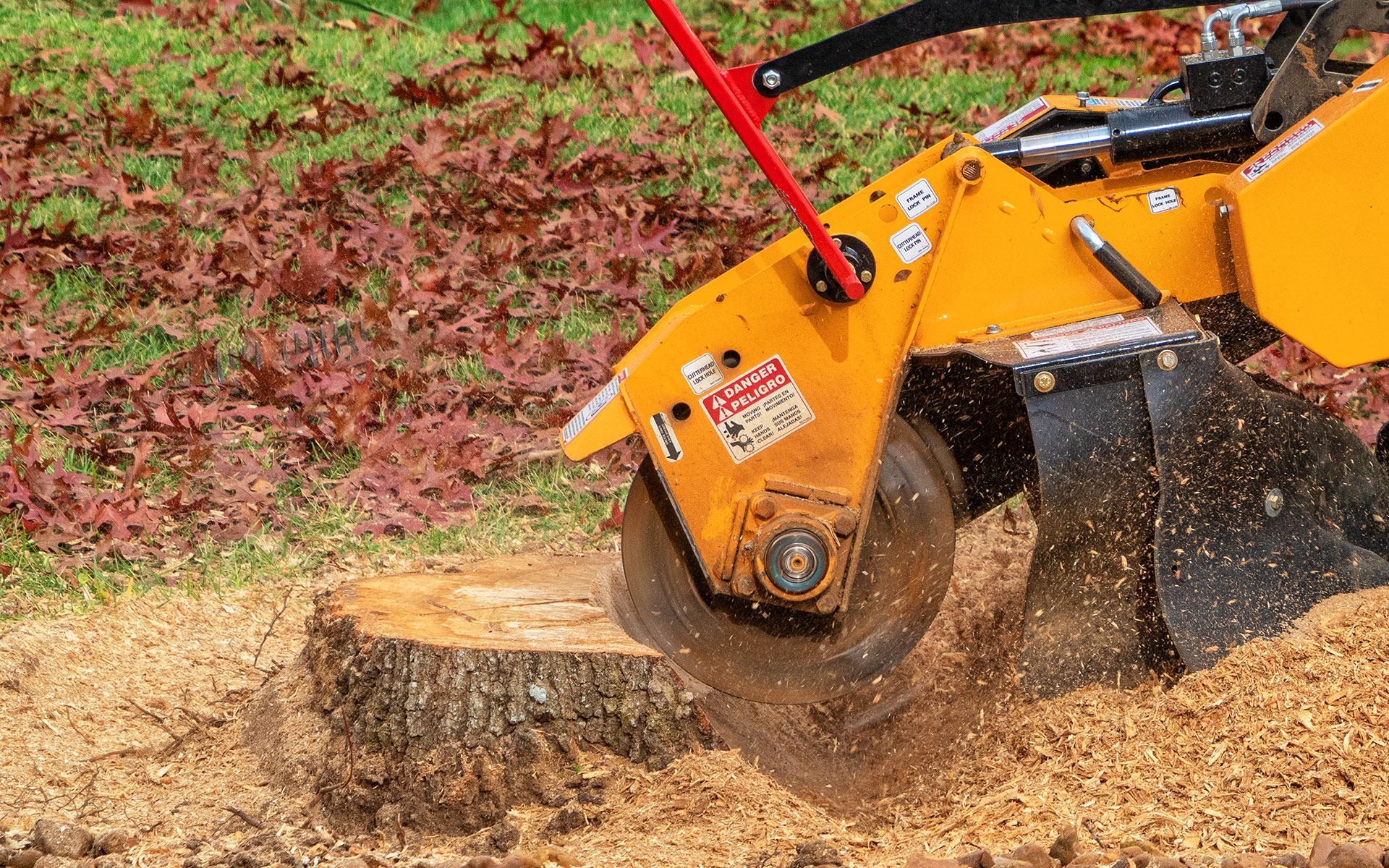Tree Stumping — Bowling Green, KY — Affordable Tree Service LLC