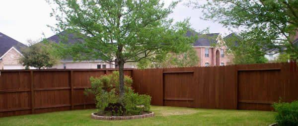 Stained Backyard Cedar Fence — Pearland, TX — Fence Keeper